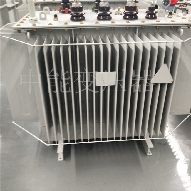 邵阳S20-800KVA变压器