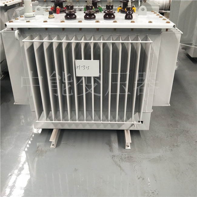 邵阳S20-1250KVA/10KV变压器
