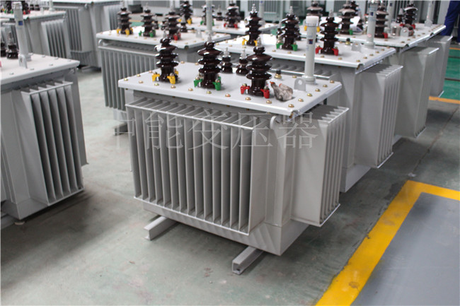 邵阳S22-250KVA/10KV变压器